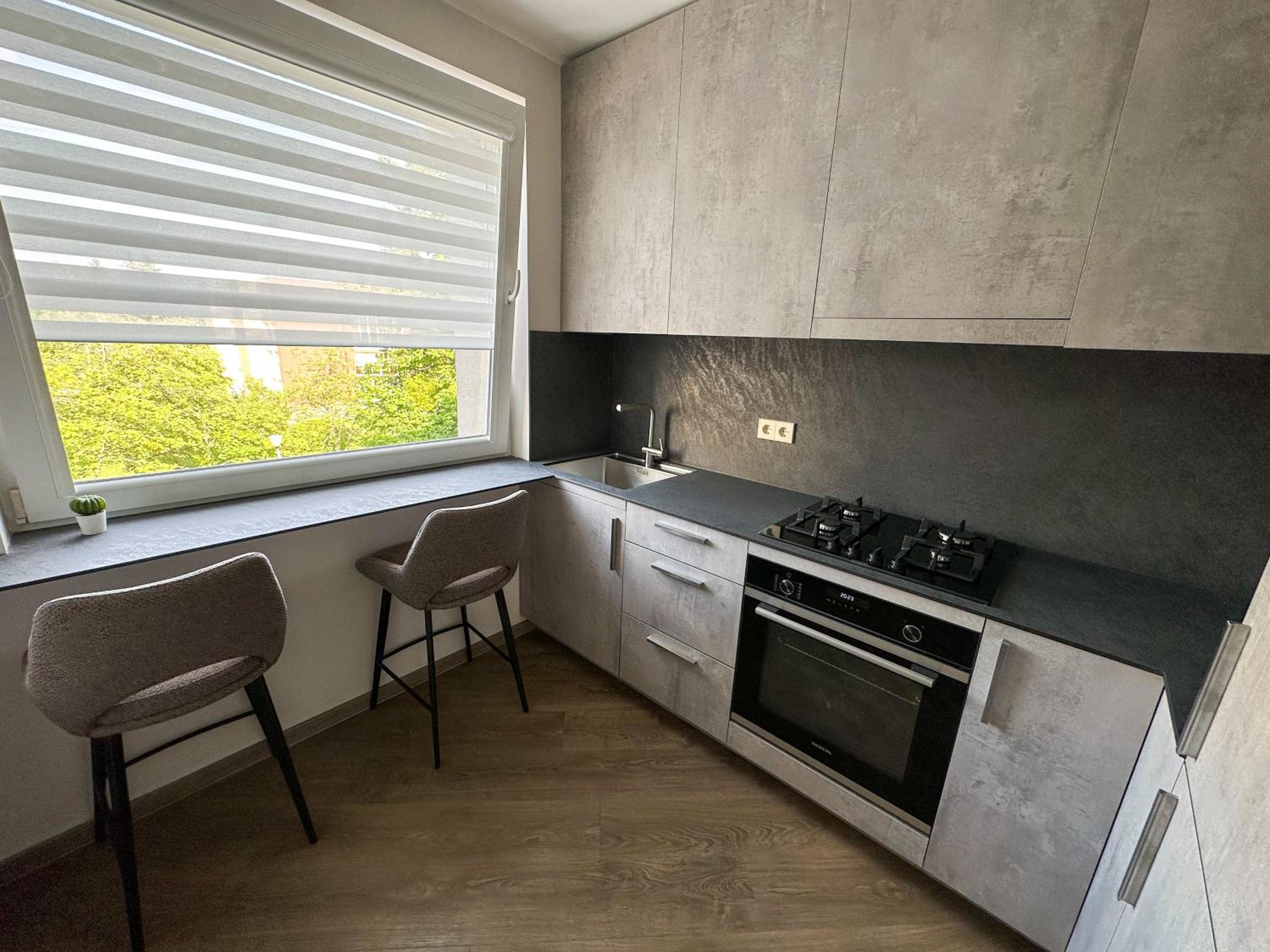 Apartment in Birstonas view 4