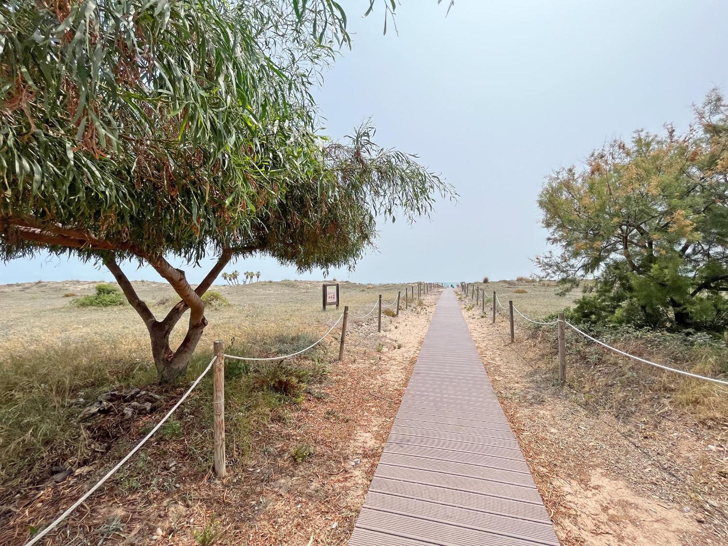 Global Properties, Apartamento en primera linea de playa en Canet