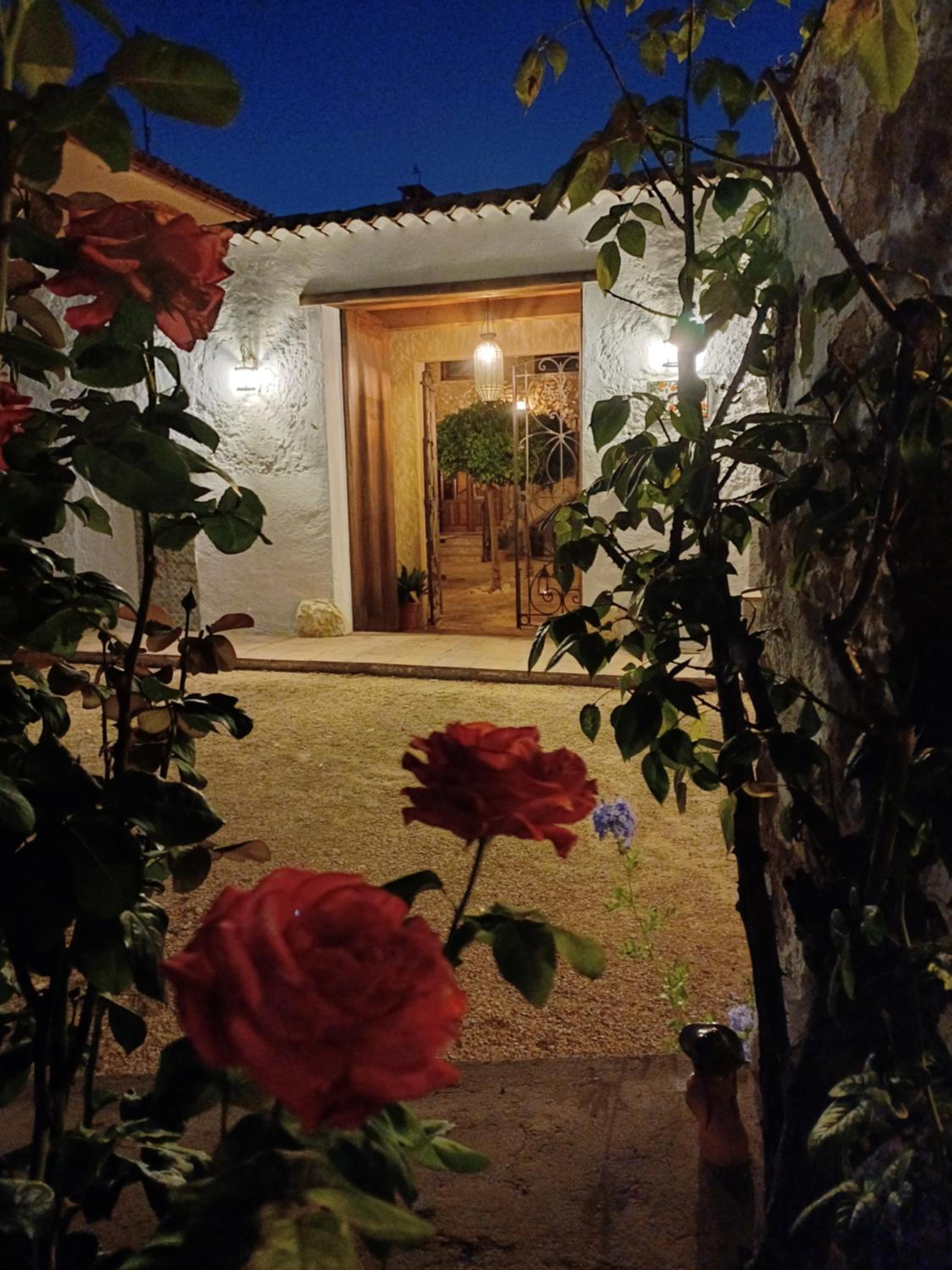 Photo 20