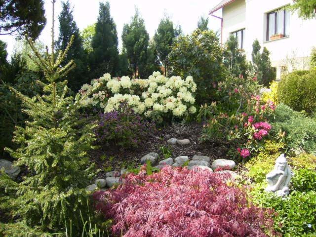 Photo 43