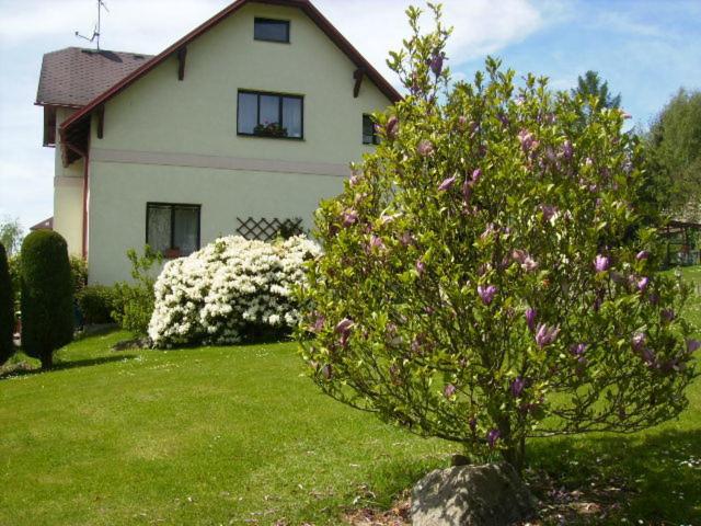 Photo 46