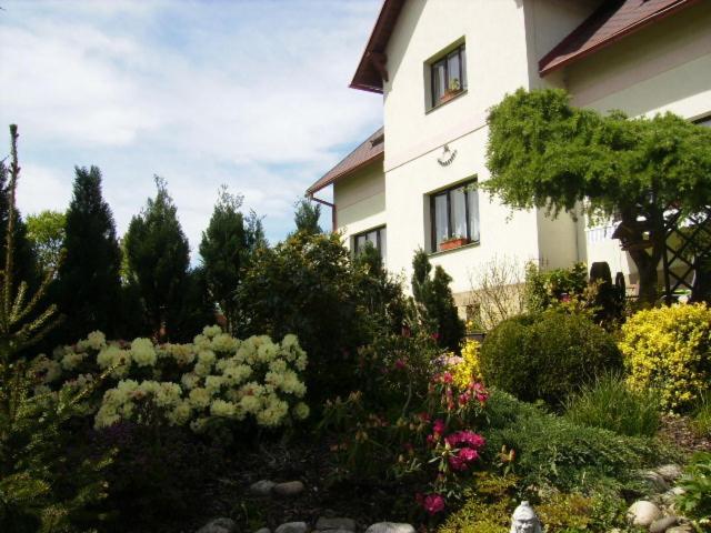 Photo 49