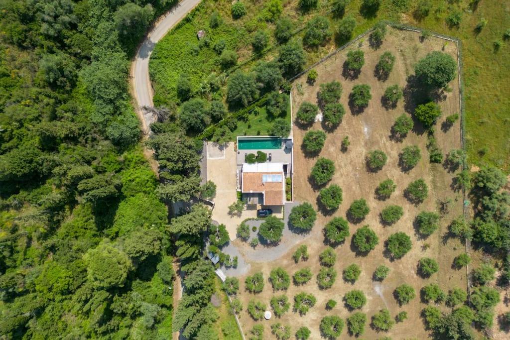Villa Theolia
