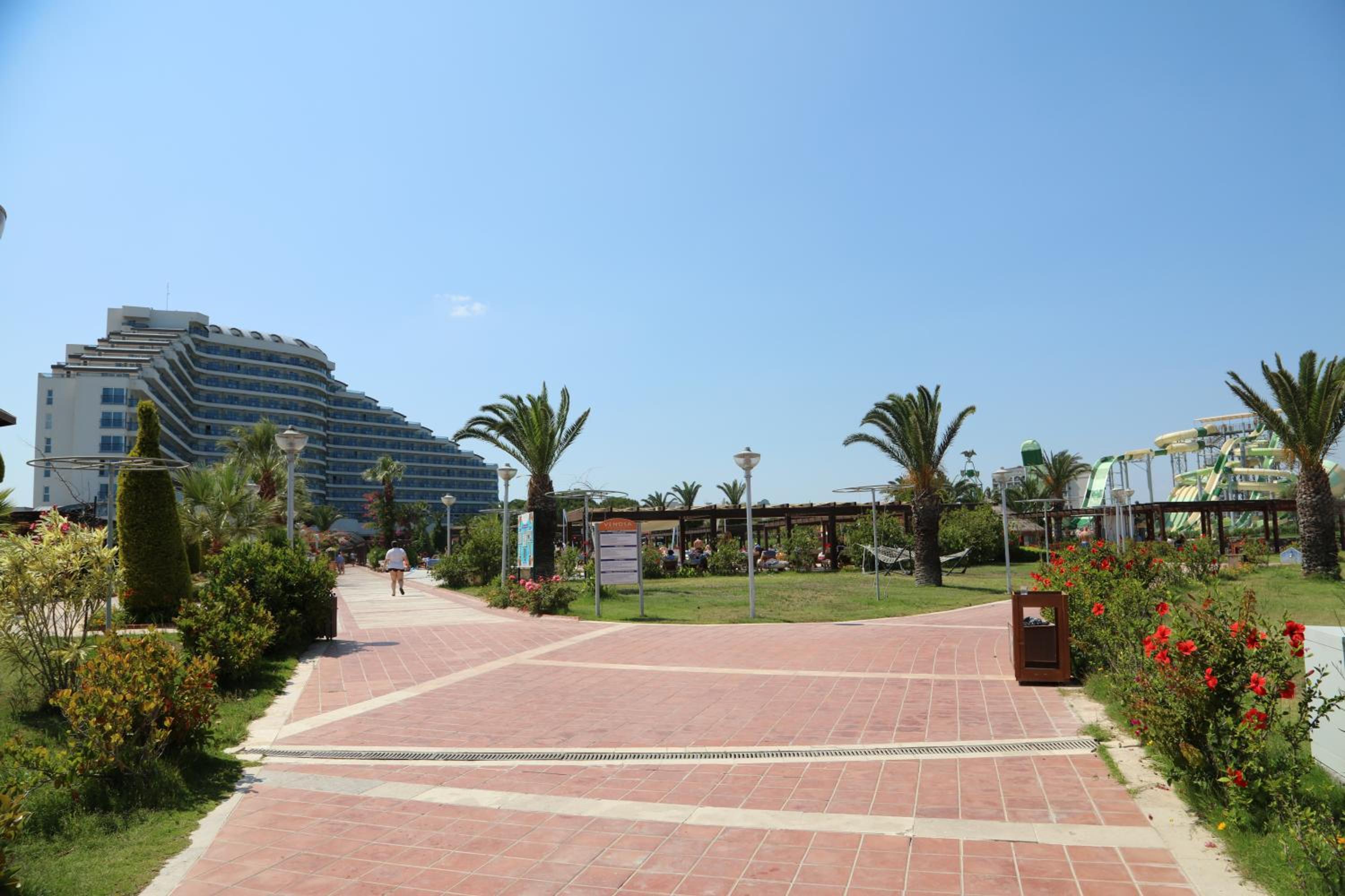 Photo 40
