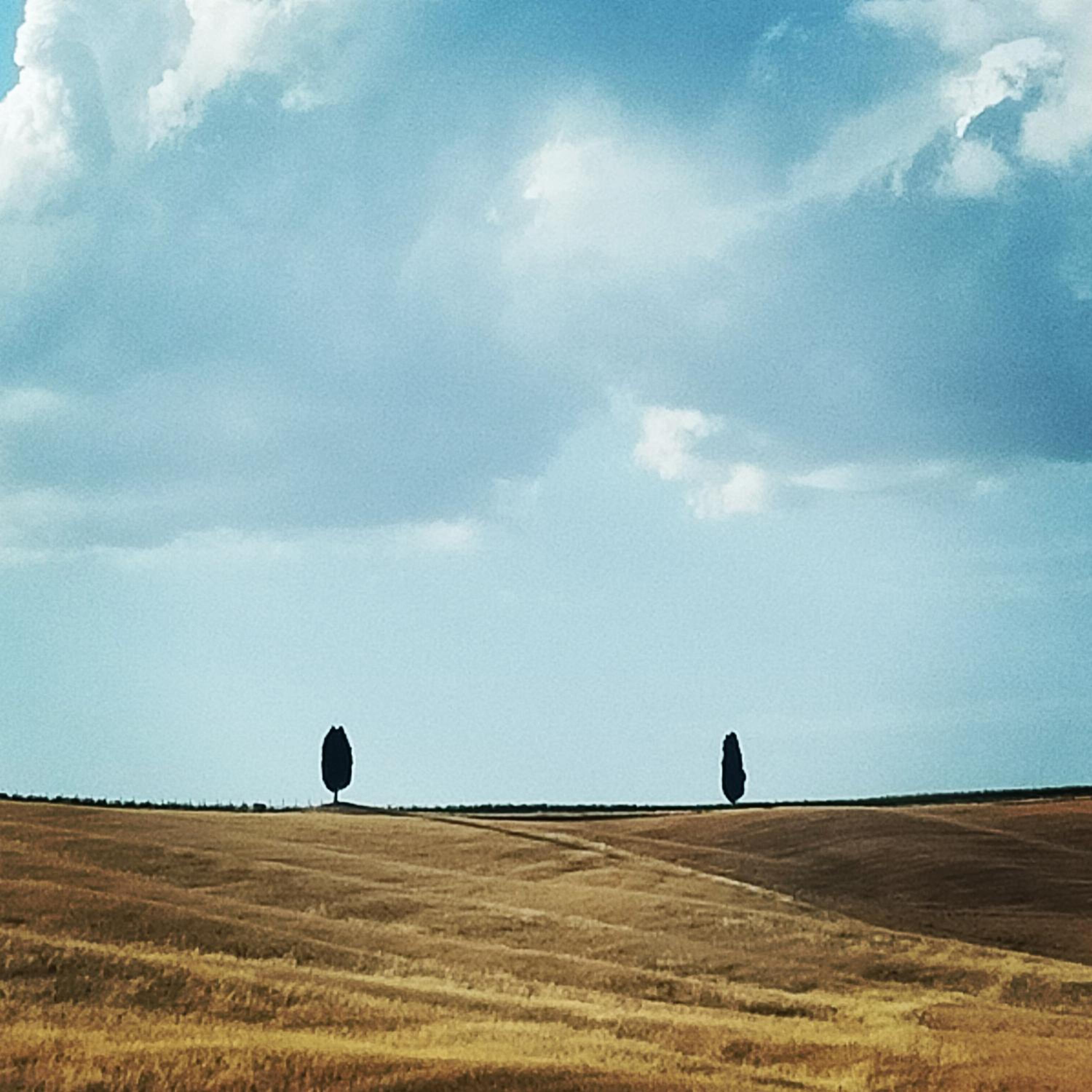 Coccinella House