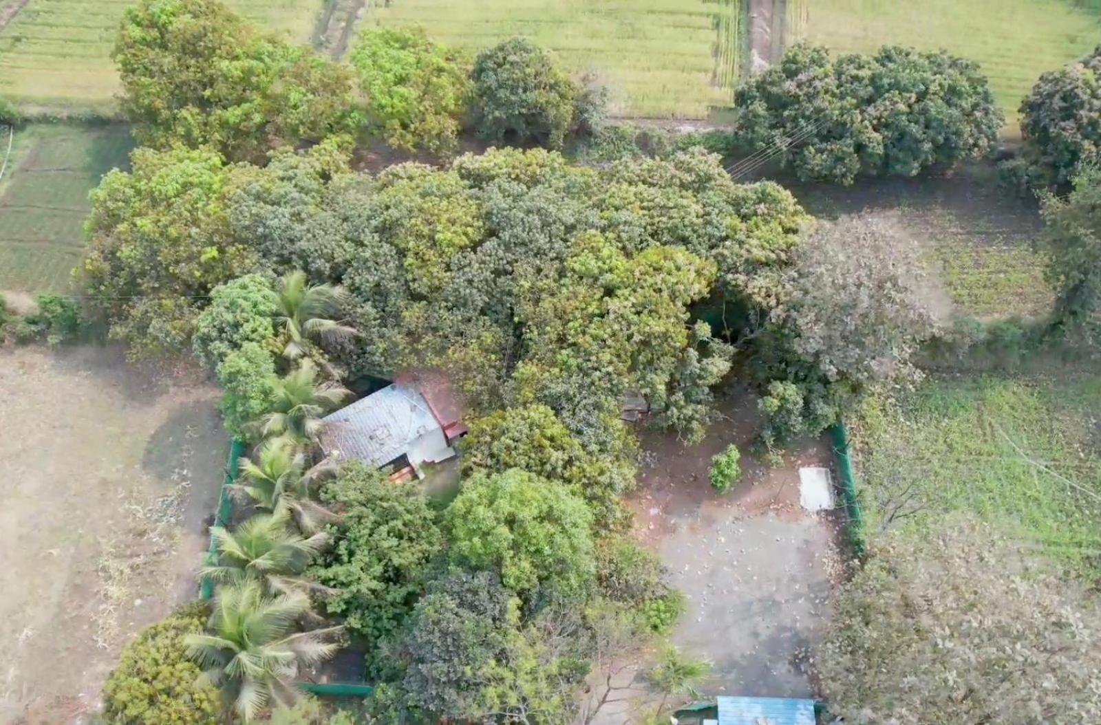 Private Farm Stay