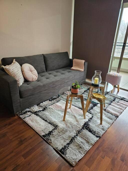 Dpto Costanera Center, Metro Los Leones 1 dorm