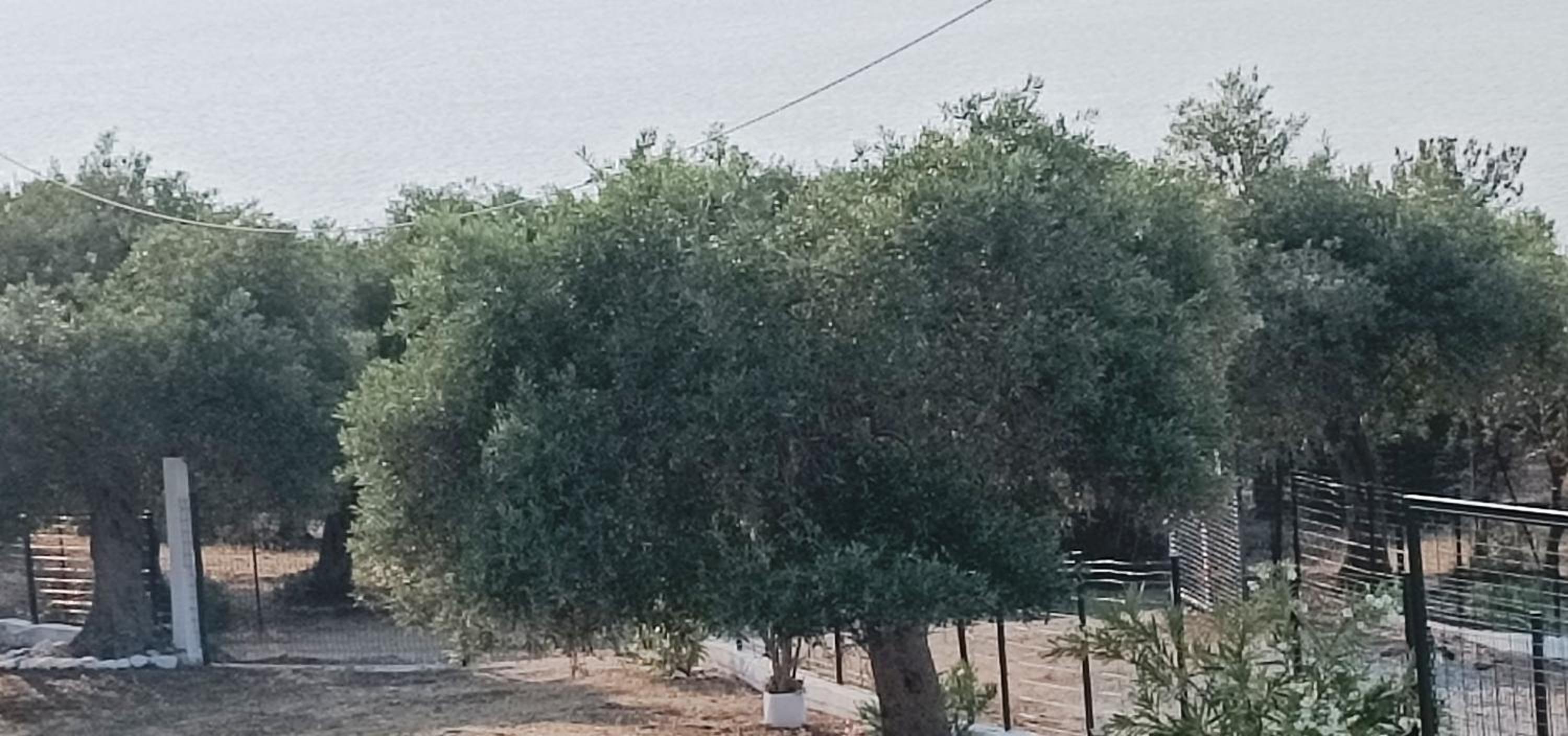 Villas Kiriaki