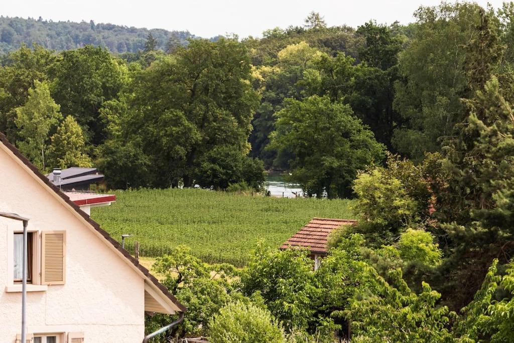 Luxury Apartment on the Rhein
