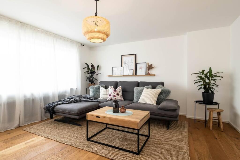 Luxury Apartment on the Rhein