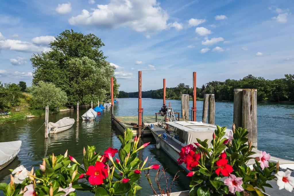 Luxury Apartment on the Rhein