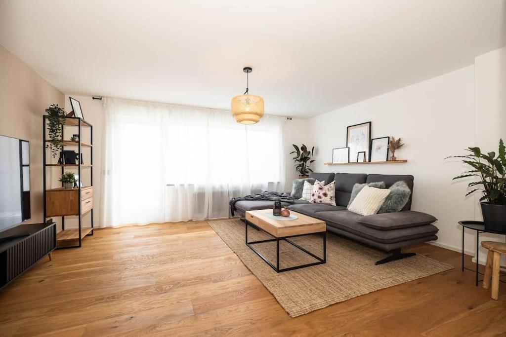 Luxury Apartment on the Rhein