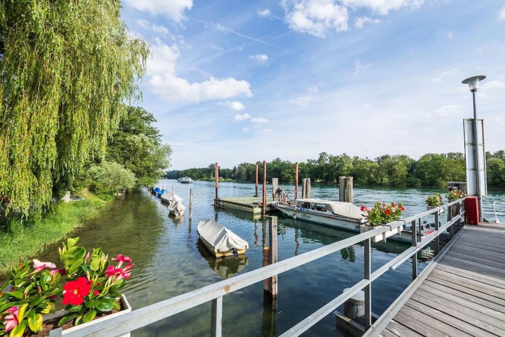 Luxury Apartment on the Rhein