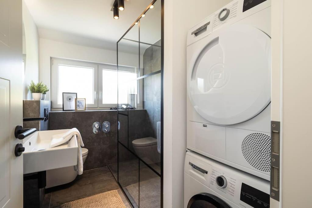 Luxury Apartment on the Rhein