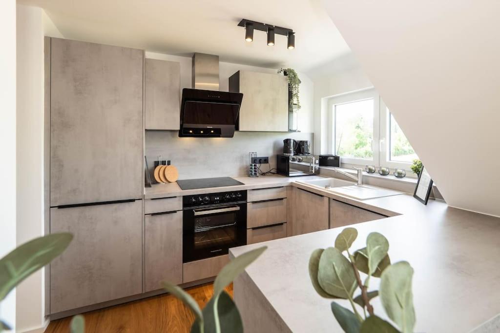 Luxury Apartment on the Rhein