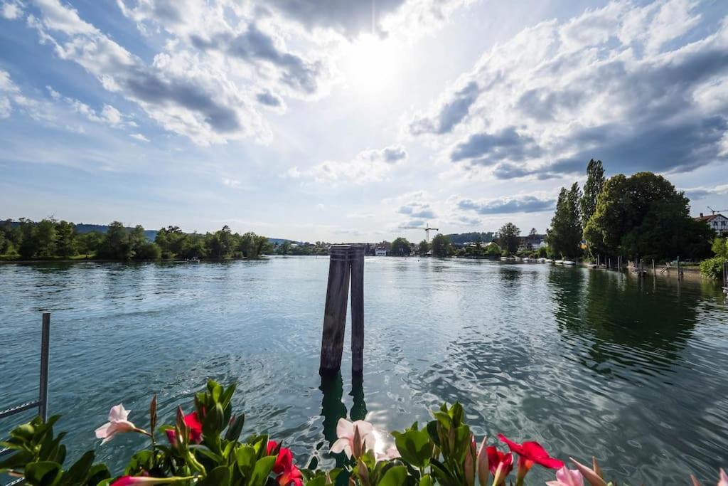 Luxury Apartment on the Rhein