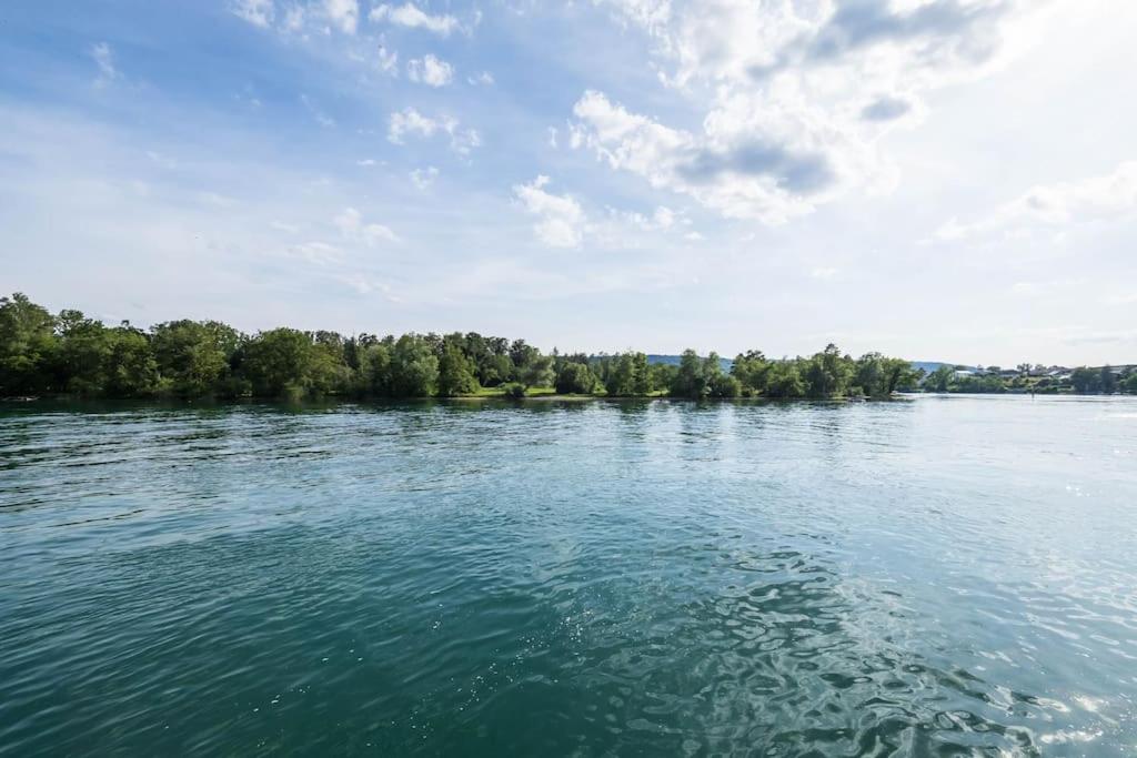 Luxury Apartment on the Rhein