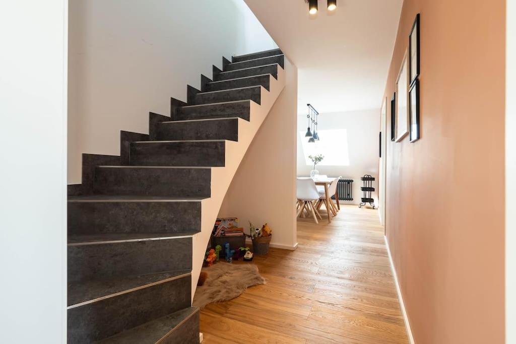 Luxury Apartment on the Rhein