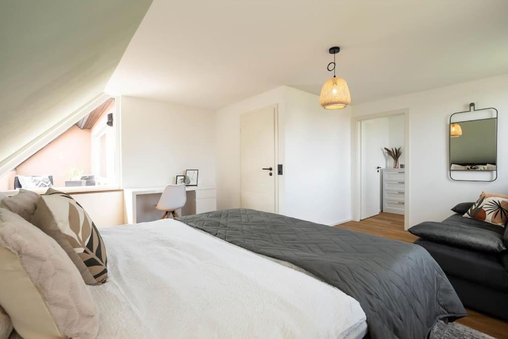 Luxury Apartment on the Rhein