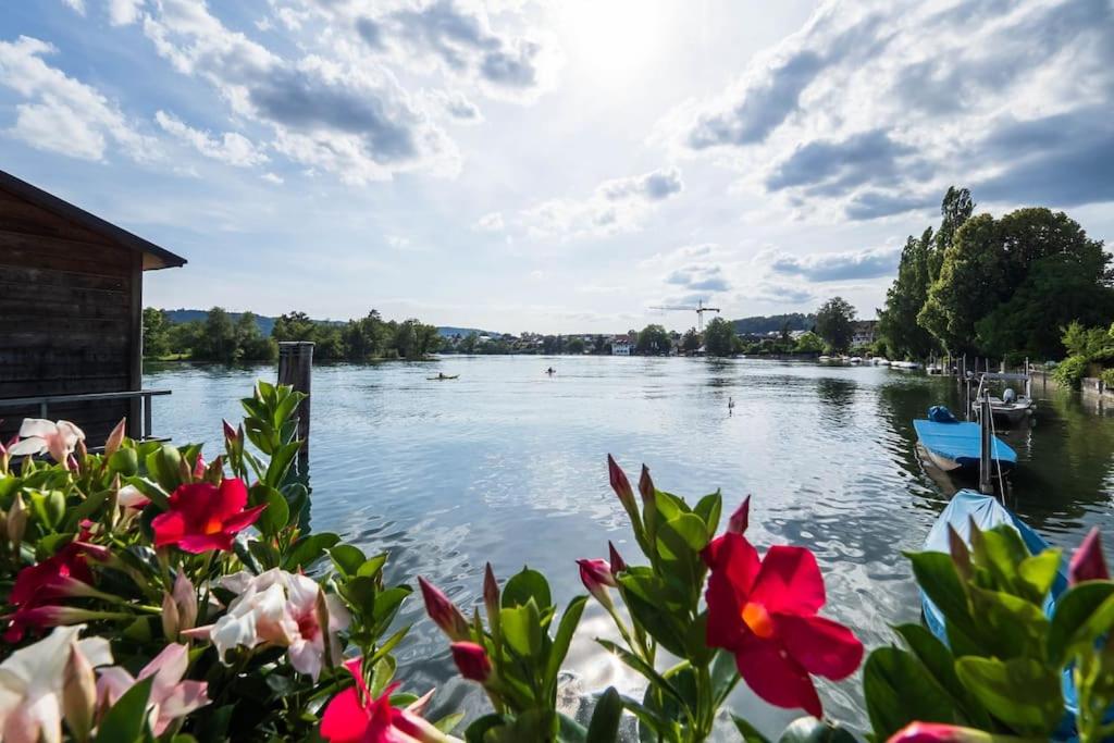 Luxury Apartment on the Rhein