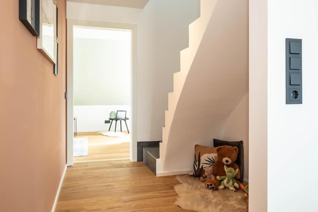 Luxury Apartment on the Rhein