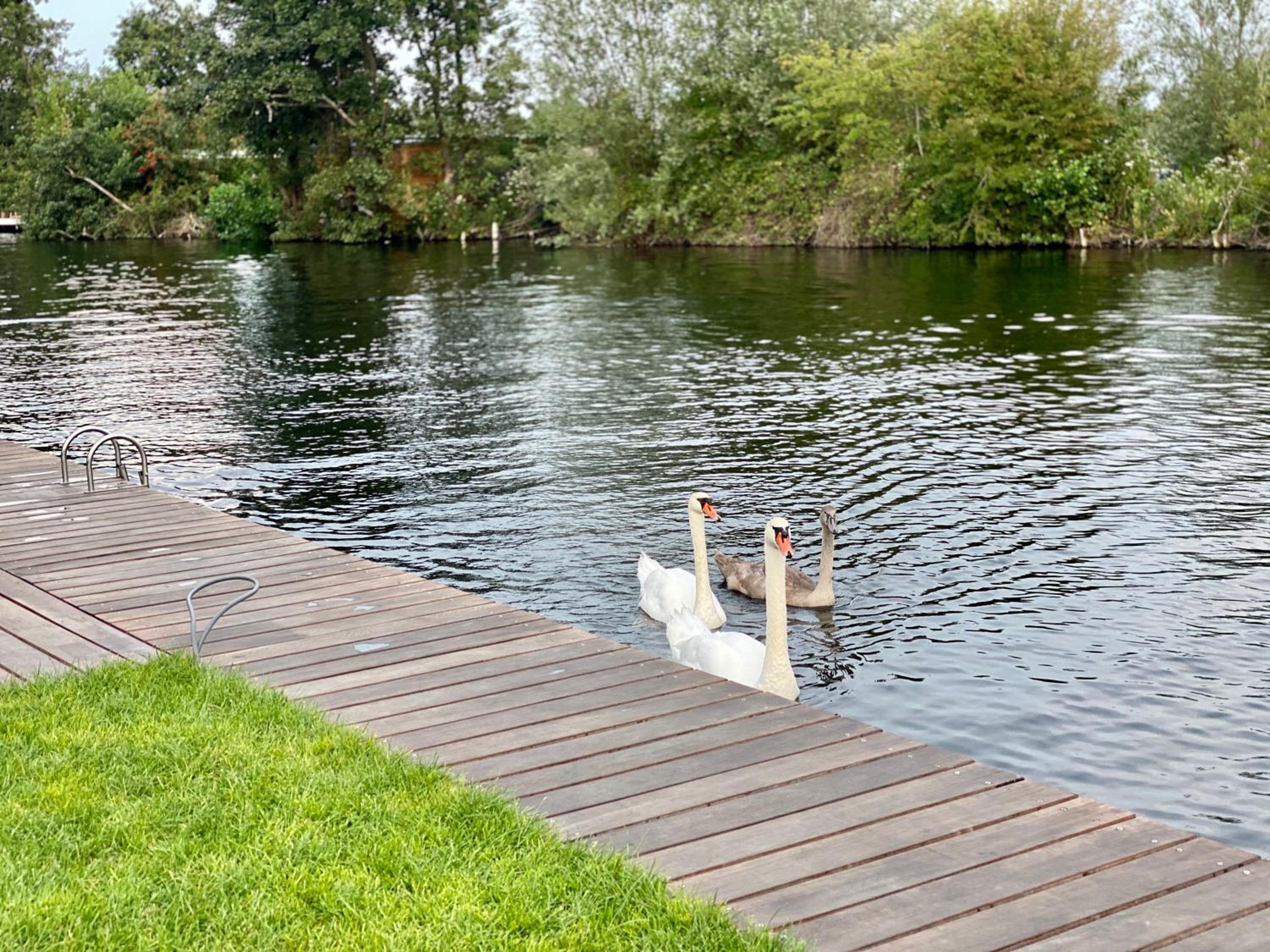 New - Waterfont Villa08 - Private Residence on a lake near Amsterdam