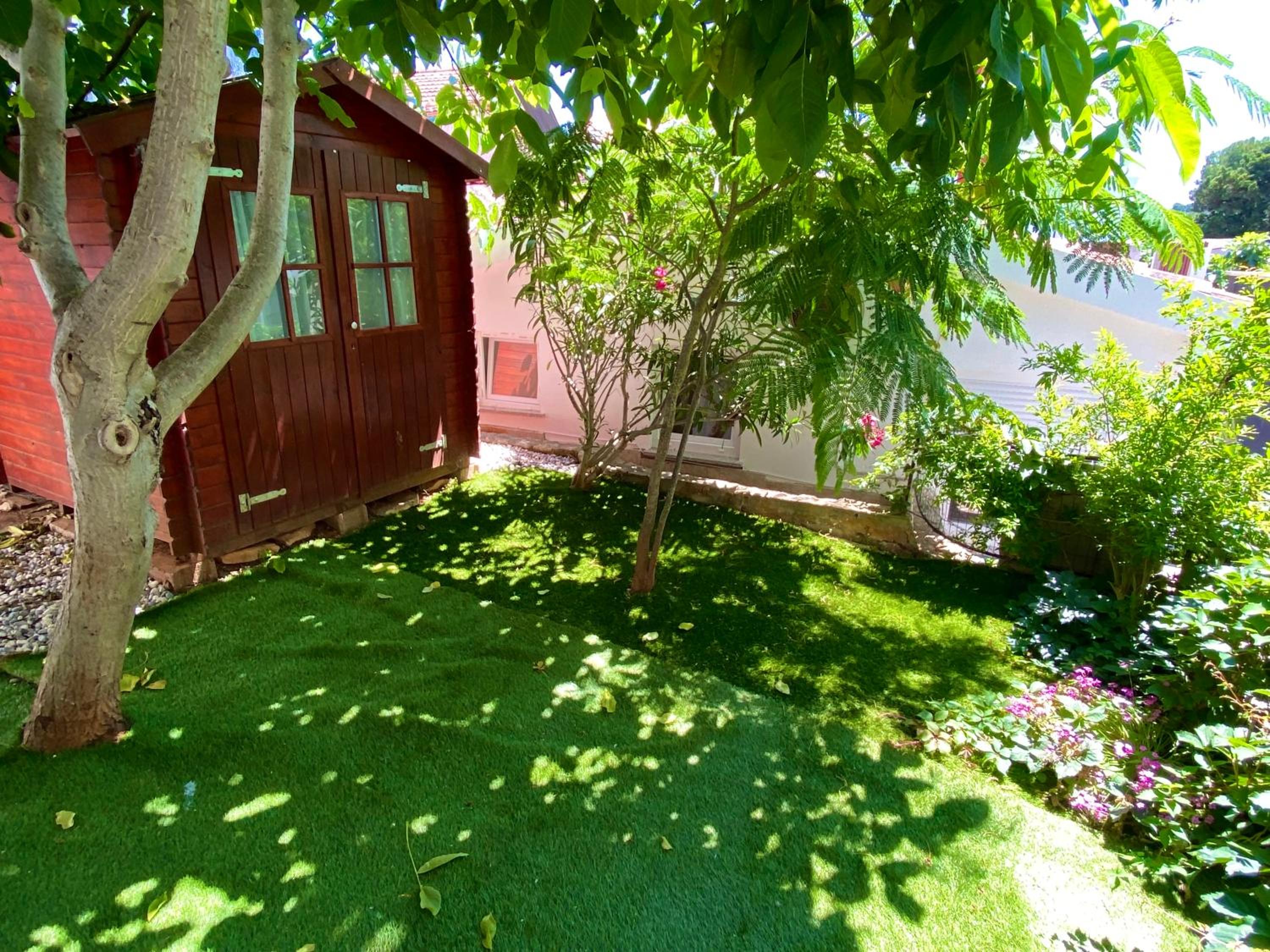 Photo 25