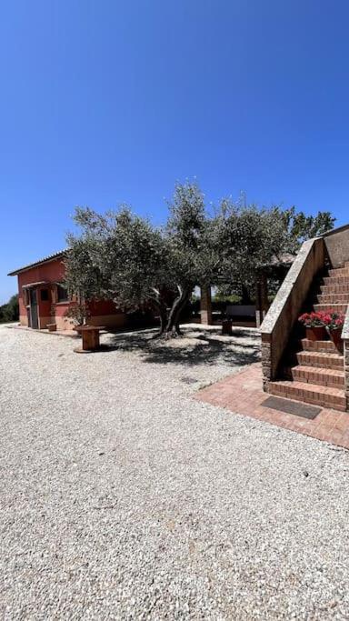Casale Tibaldeschi