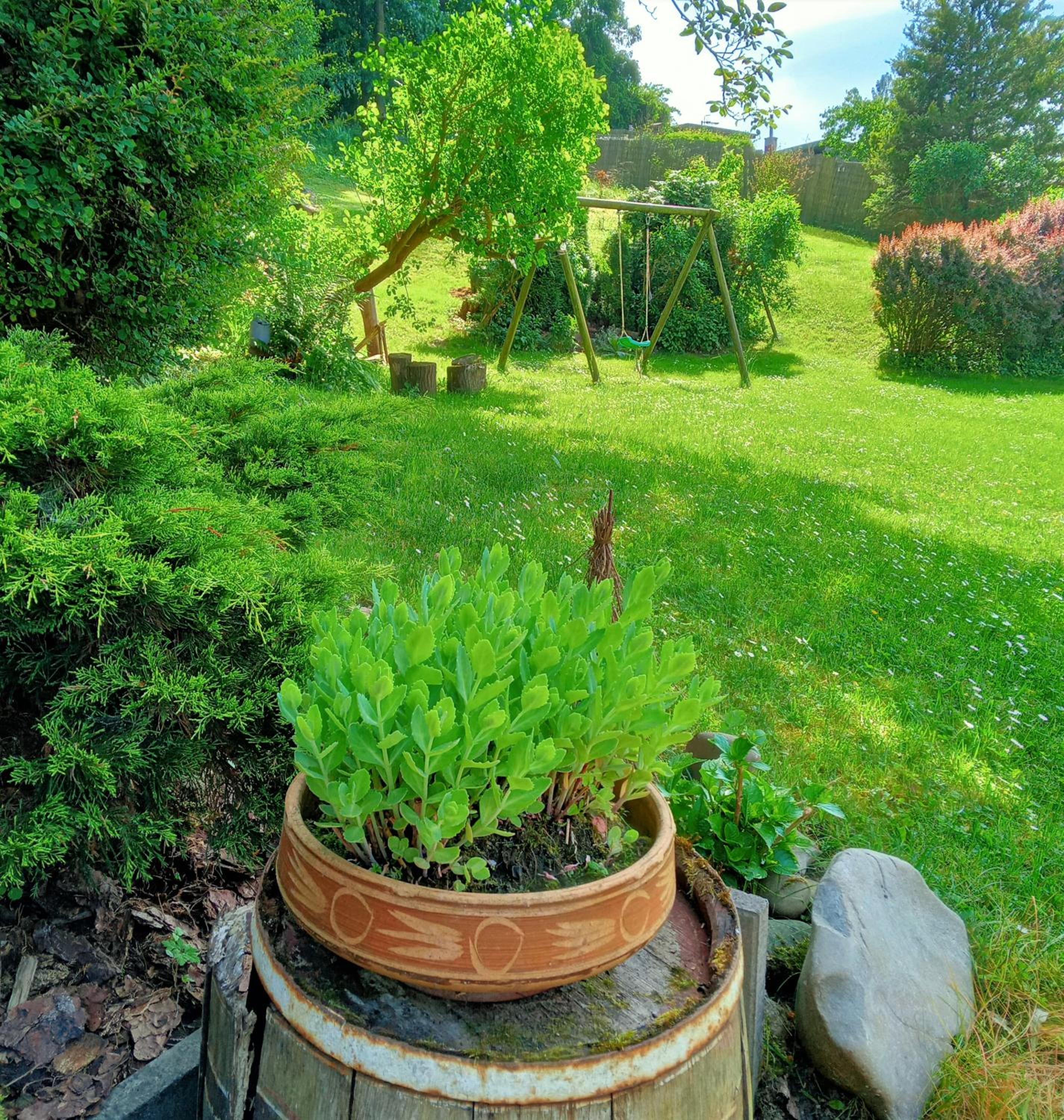 Photo 14