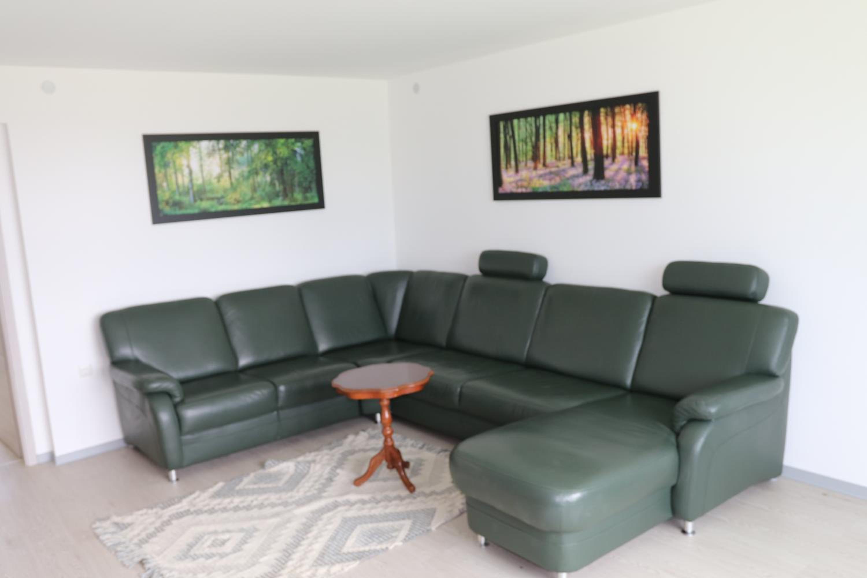 Ferienwohnung Wiesenblick in Seiffen - Property Image 32