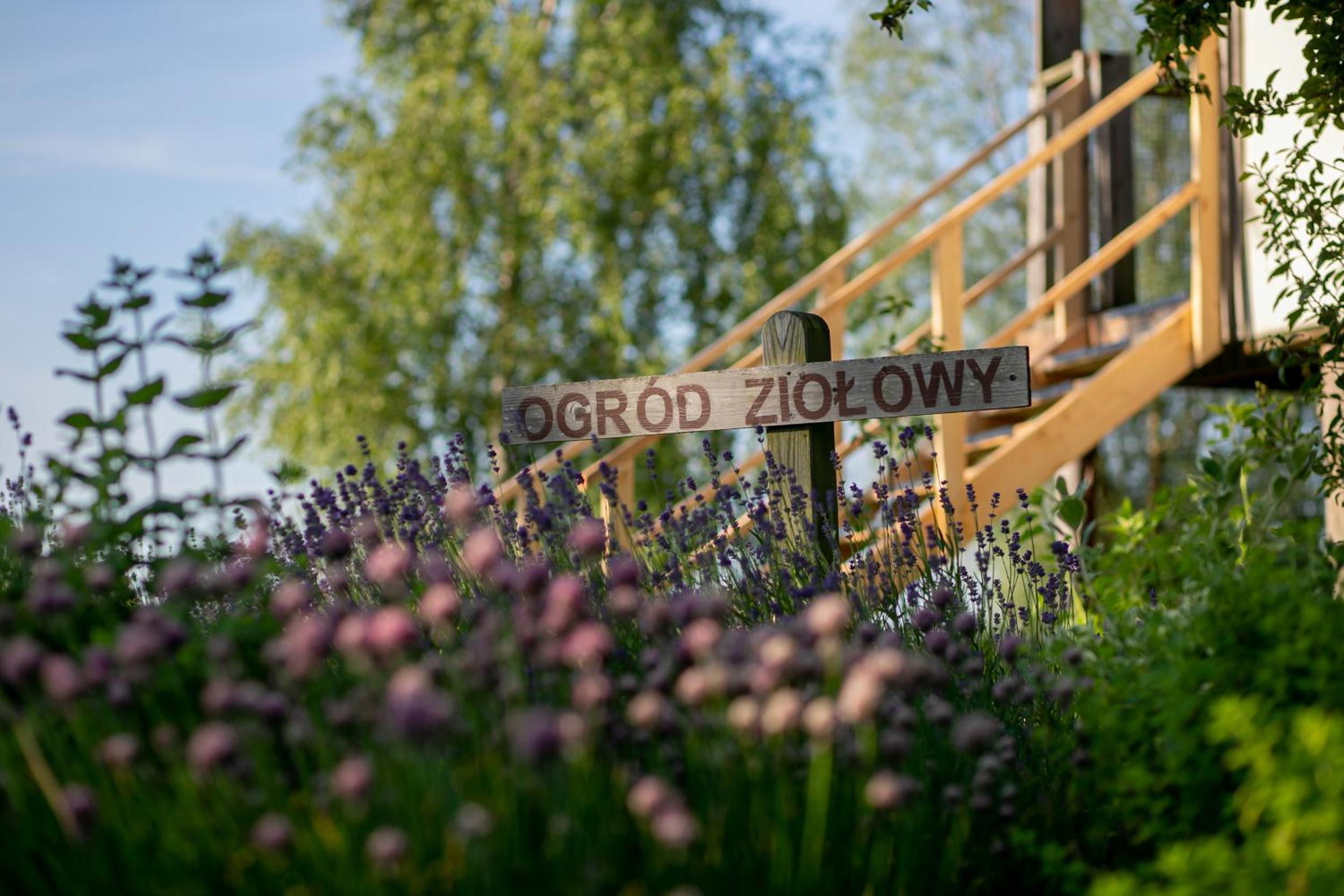 Herbals - Tree&Lake houses with bath, sauna - price includes attractions worth over 2000 PLN