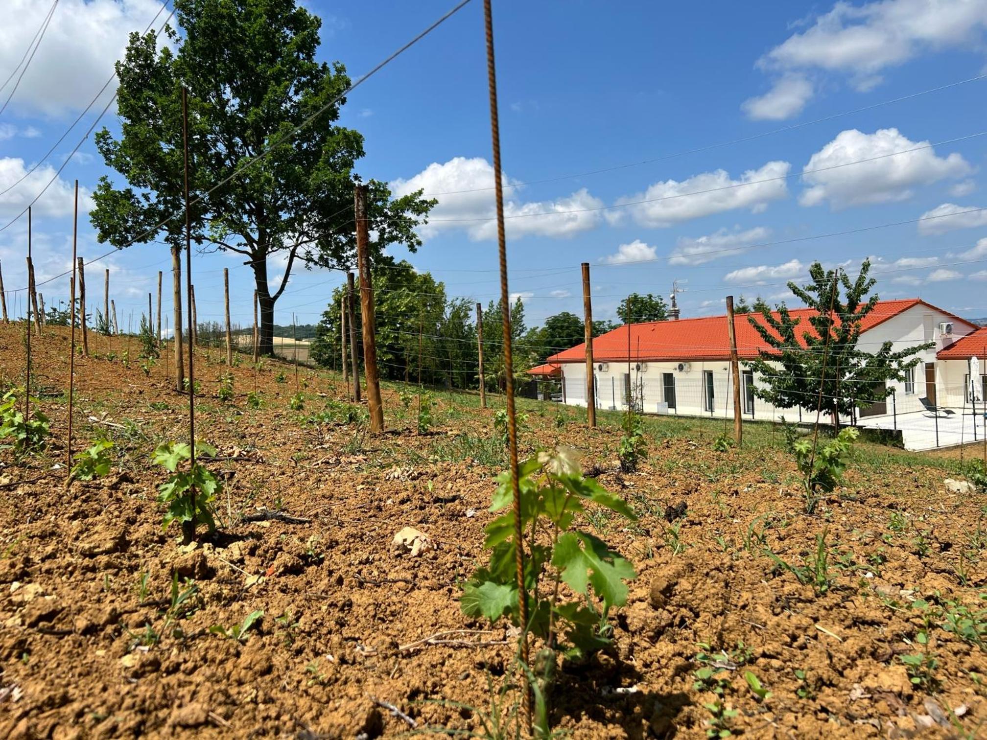 Villa Chiara Piemonte