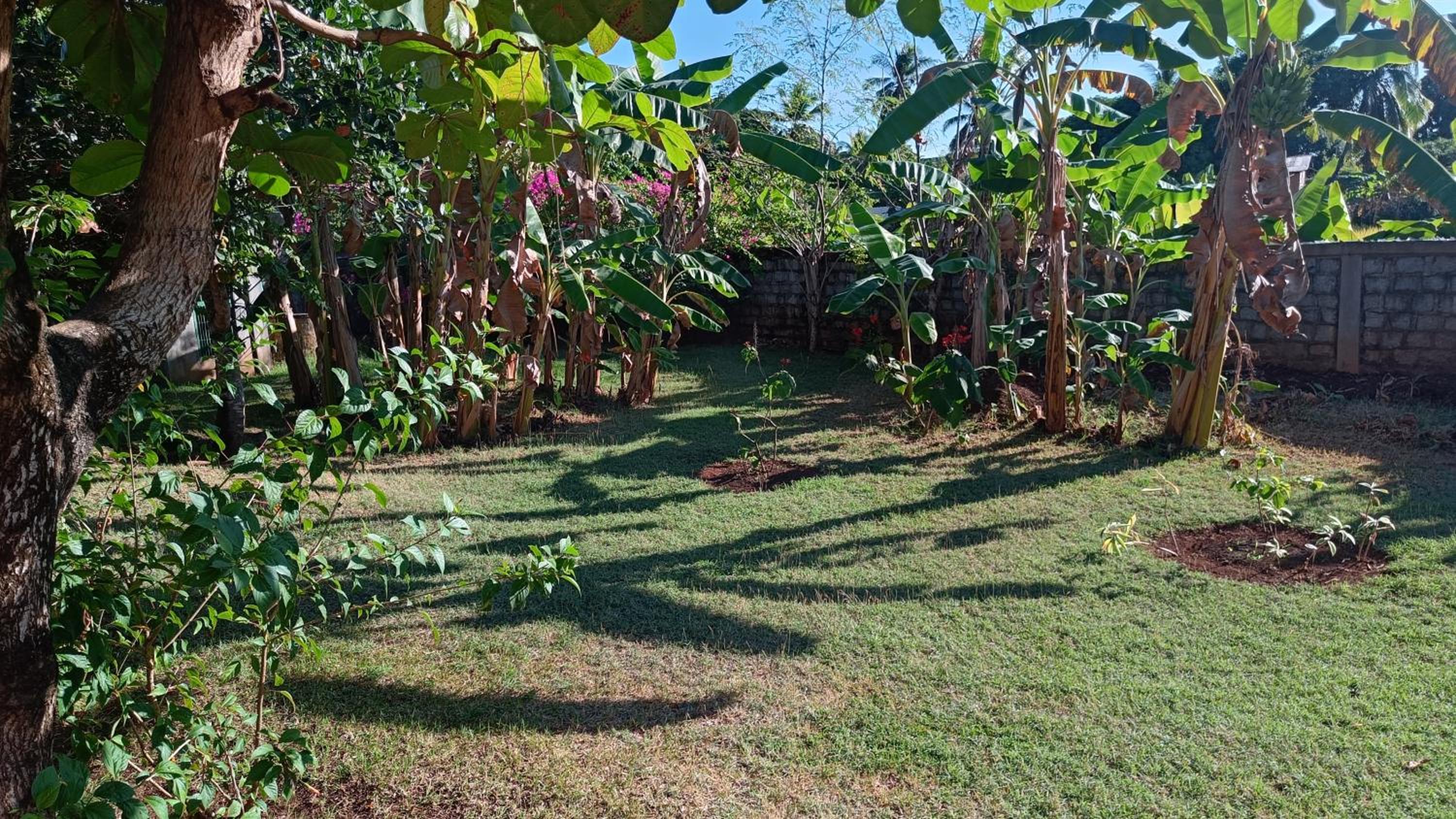 Maison Karibou view 2