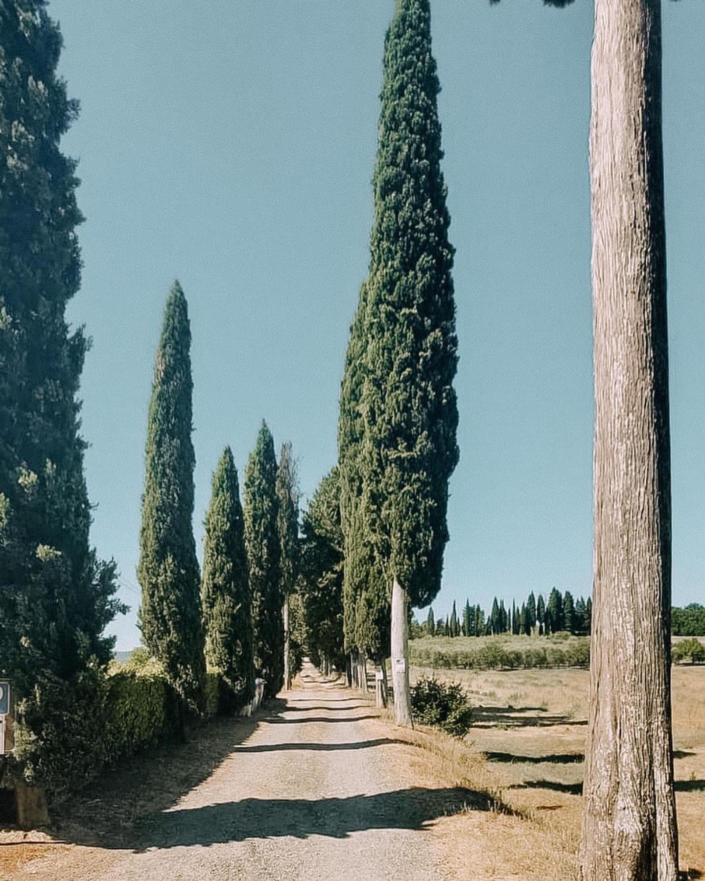 Agriturismo Terra Di Dio Toscanizzazione