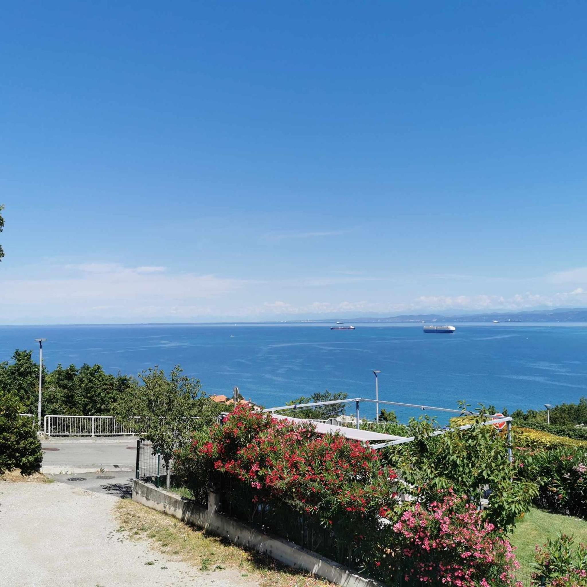 Studio Vesna & Žan view 5