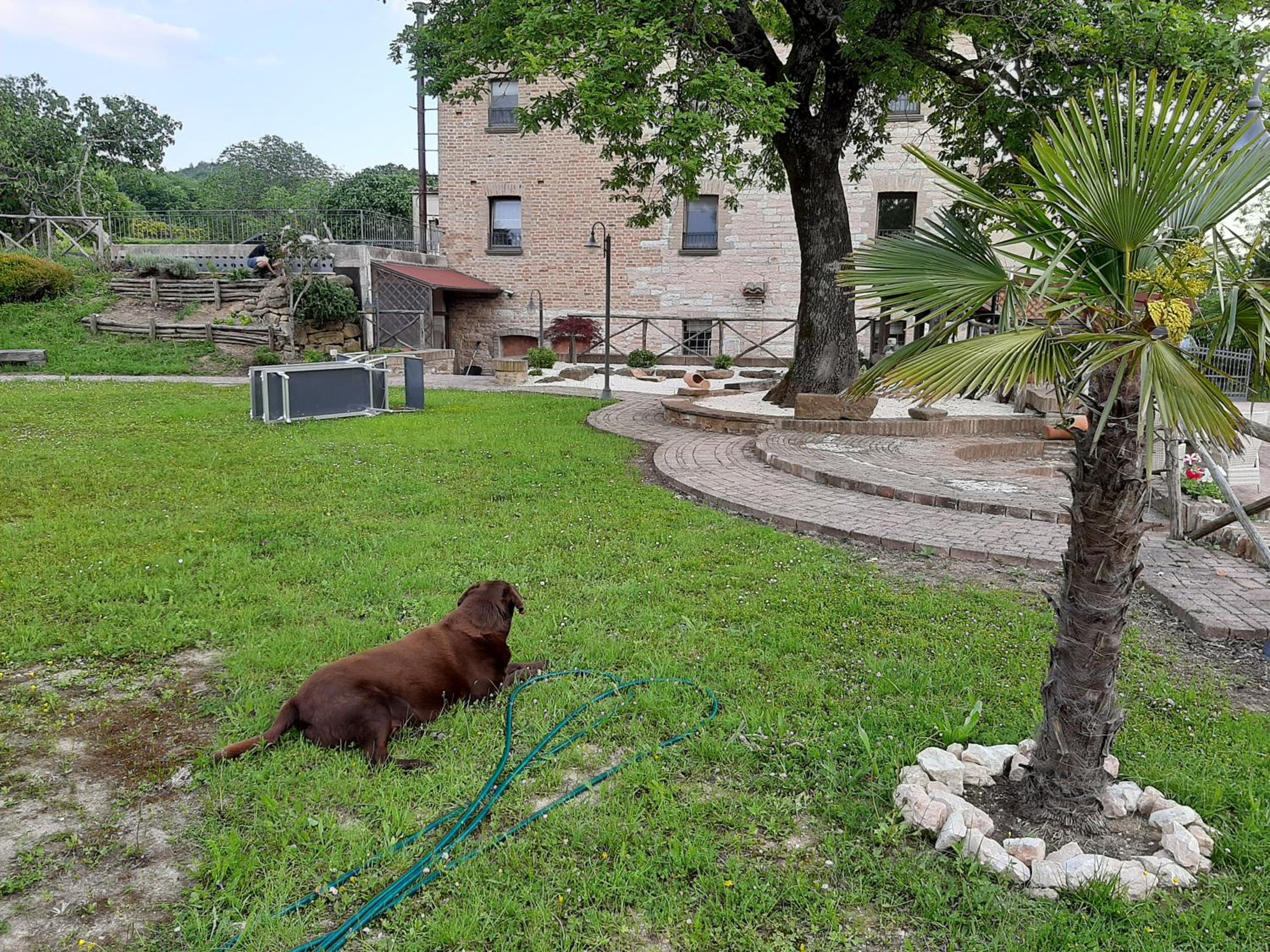 Bed & Breakfast Villa Monterosso