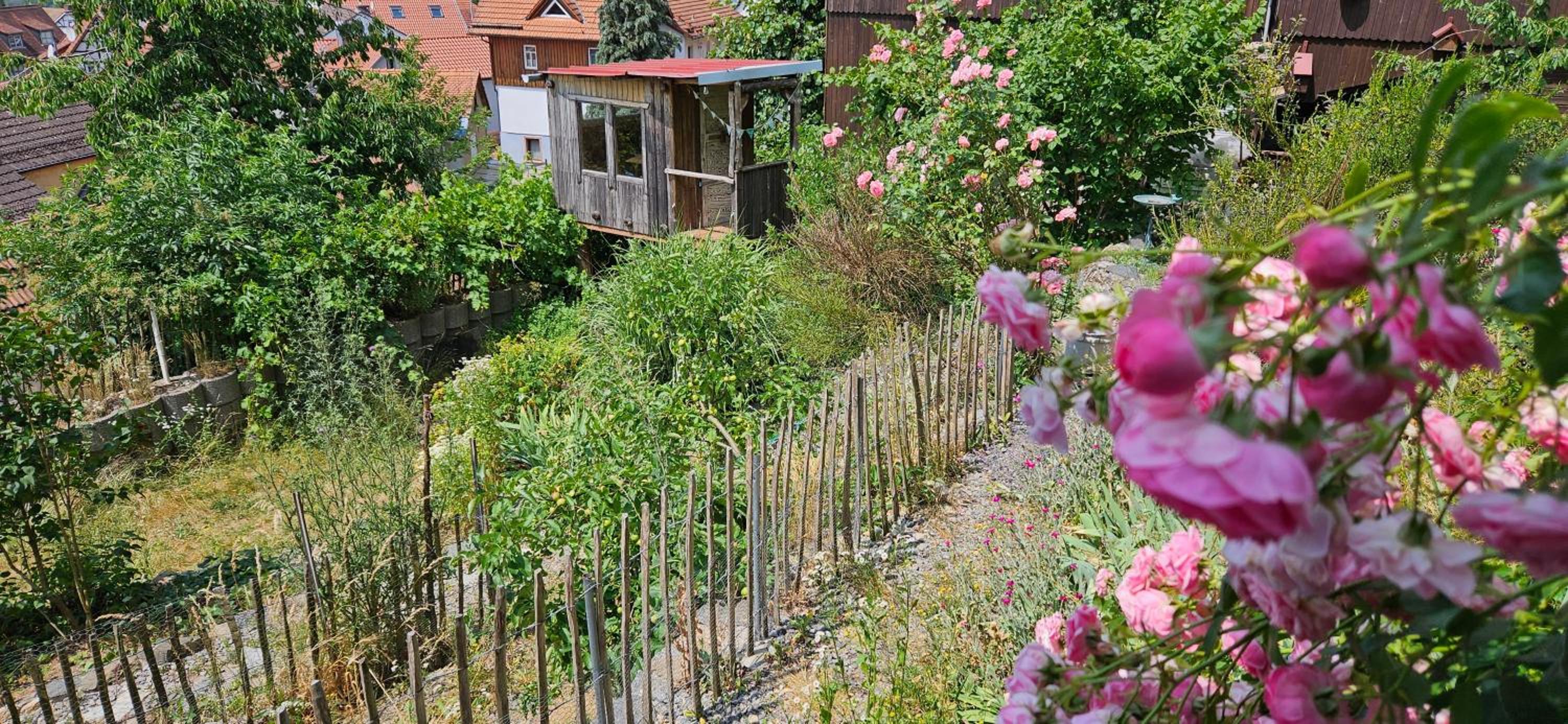 Waldheim Lindenfels