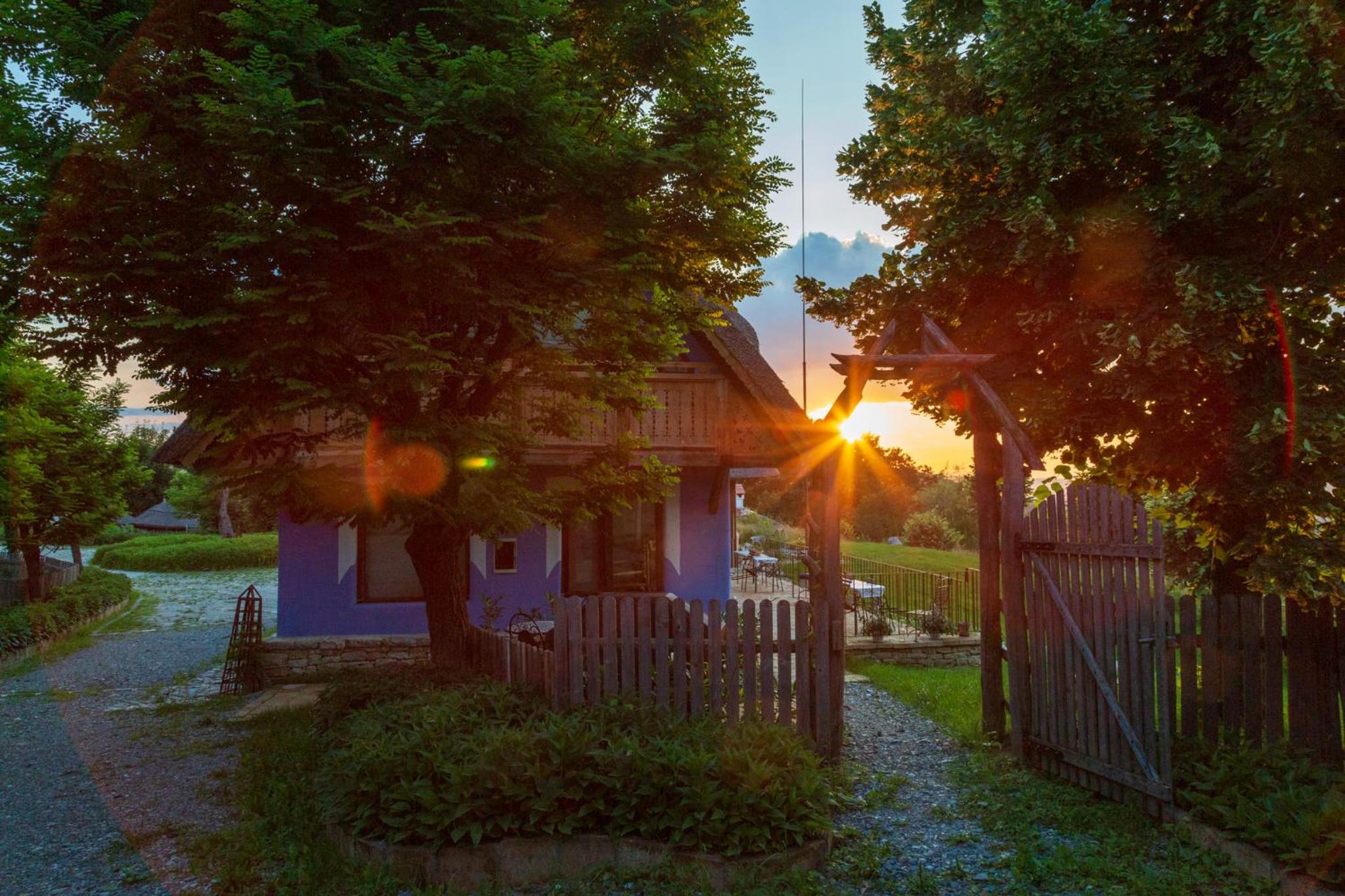 Casele cu Stuf B&B Haus Ulrike view 5