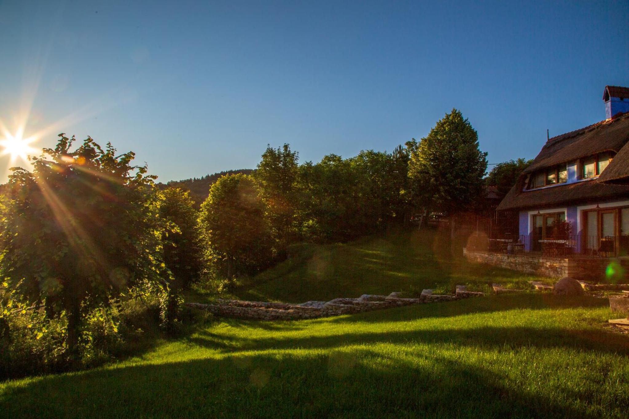 Casele cu Stuf B&B Haus Ulrike view 4