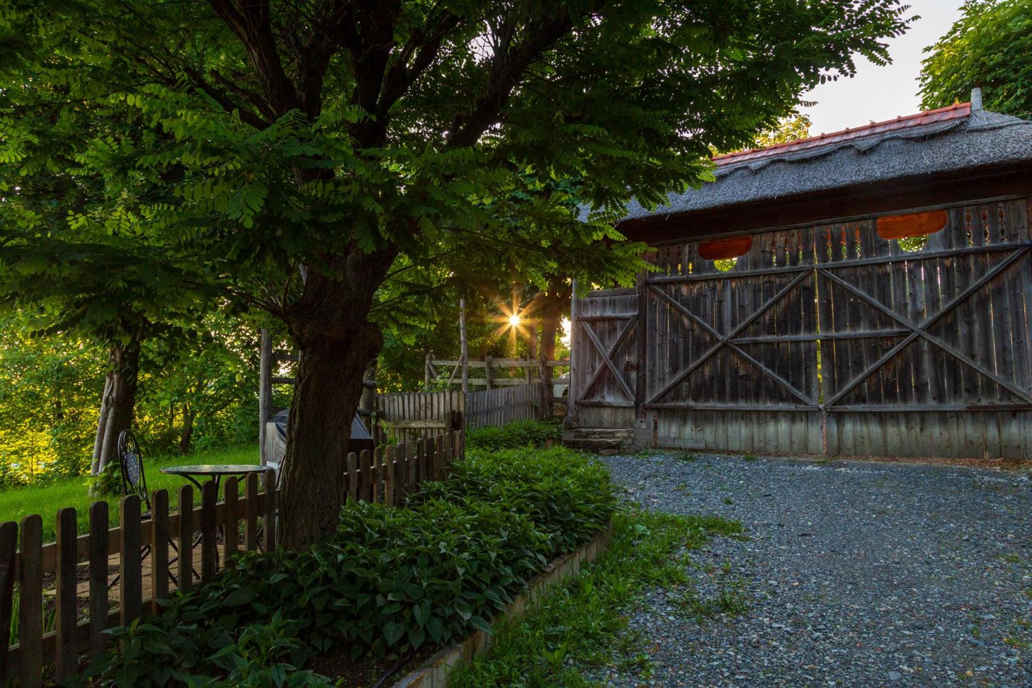 Casele cu Stuf B&B Haus Ulrike view 3