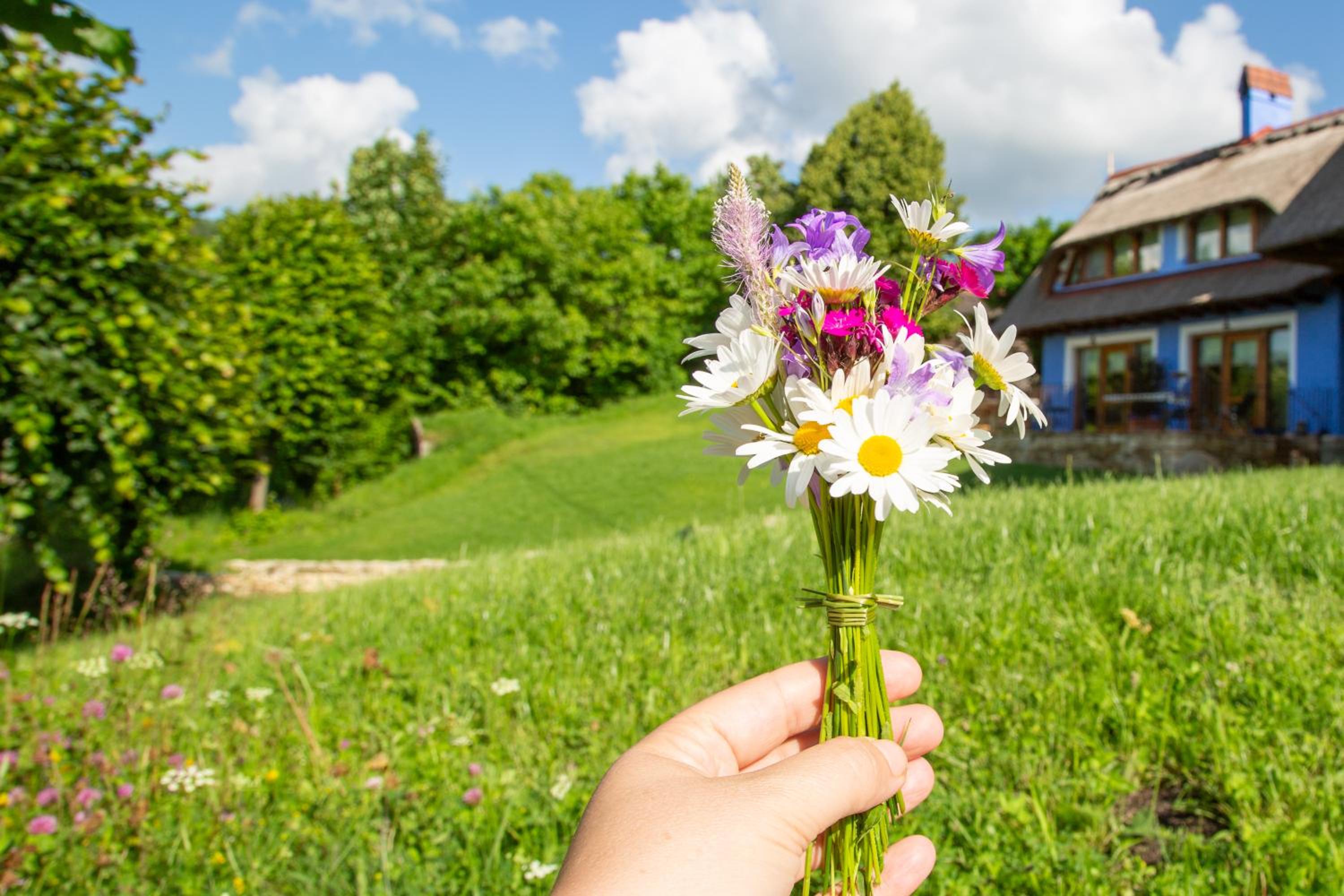 Casele cu Stuf B&B Haus Ulrike view 2