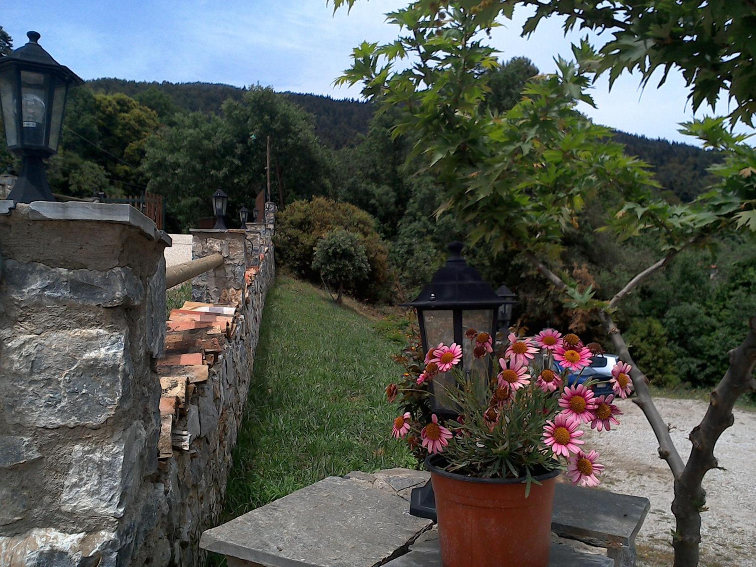 Pasithea Mountain Chalet