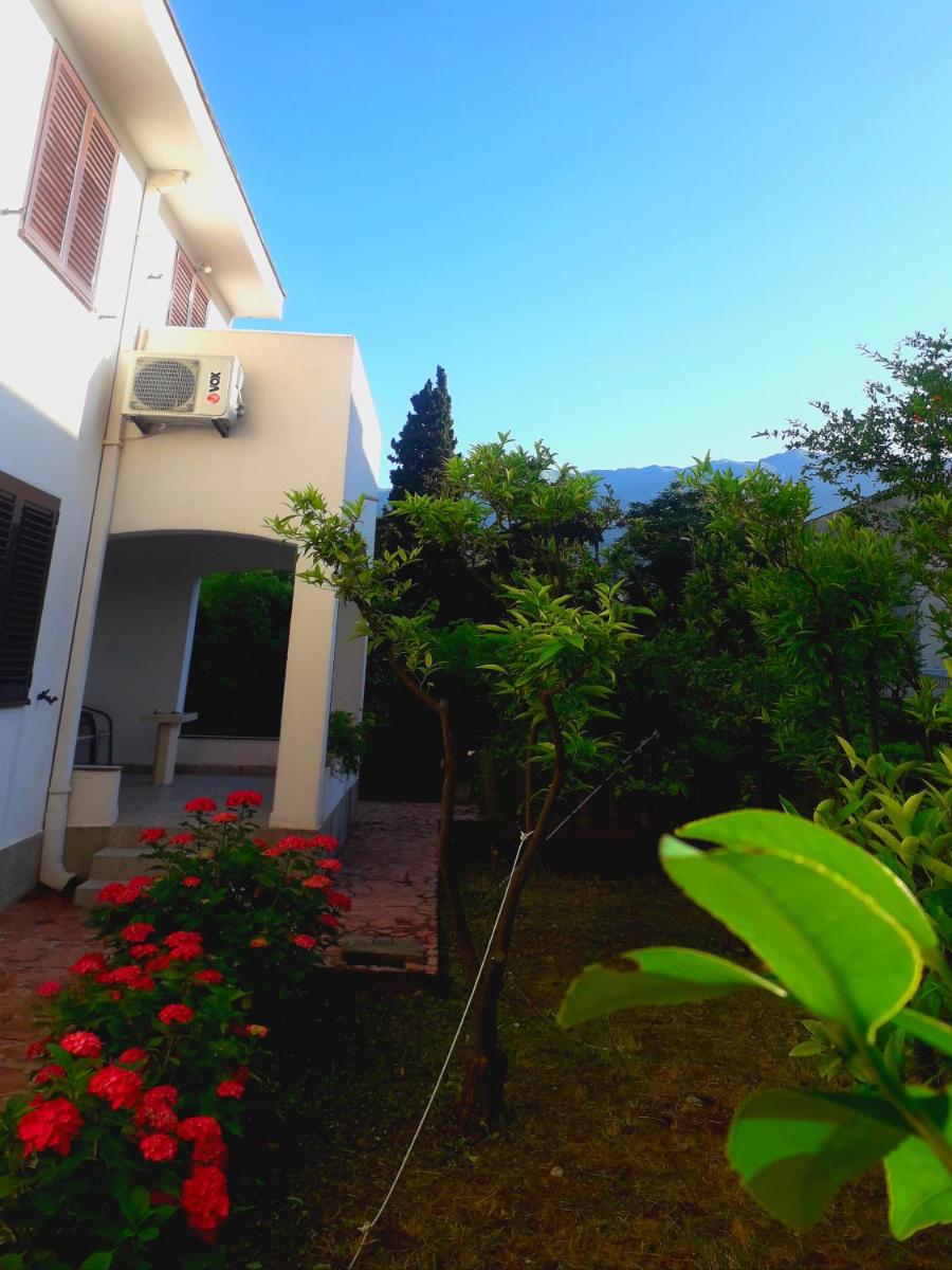 Elizabeth Vila Budva near Old town photo 1