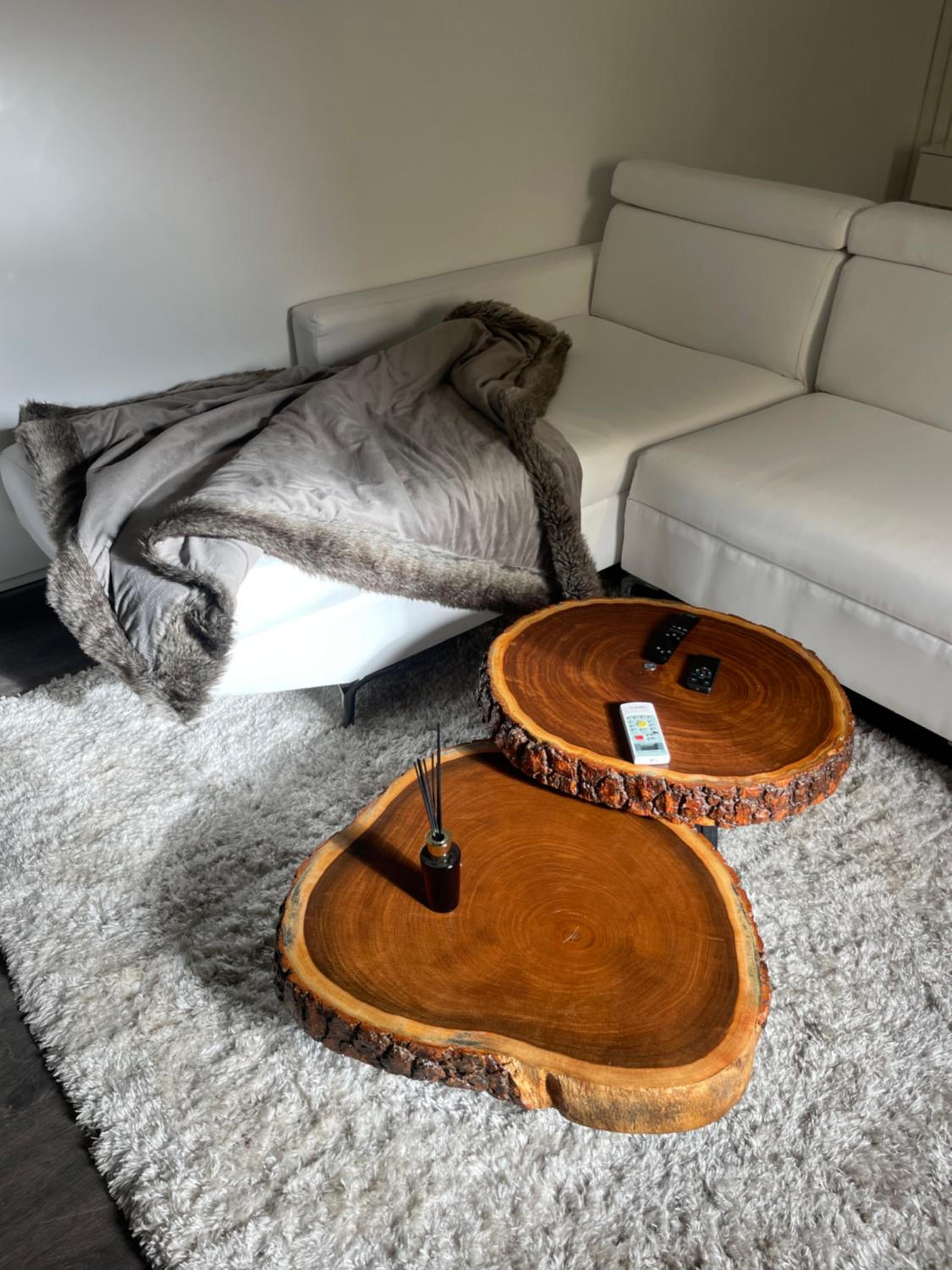 Cozy apartment