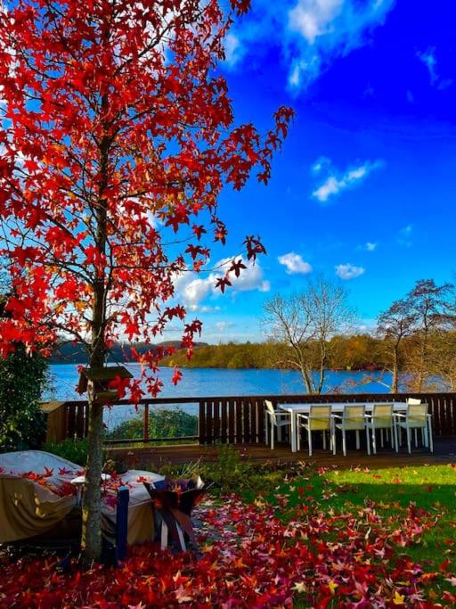 Traumhaus Baldeneysee