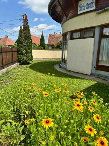 Cozy Garden Apartman