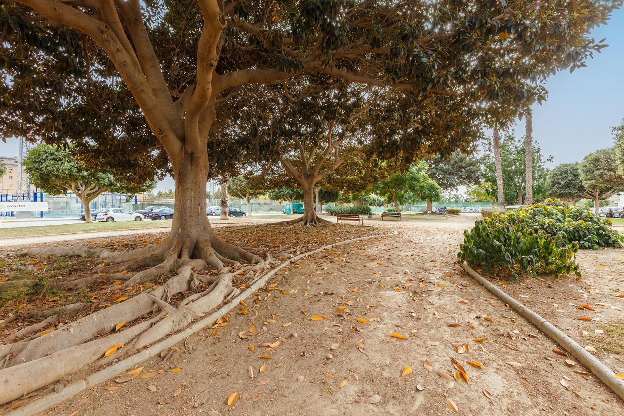 Photo 41