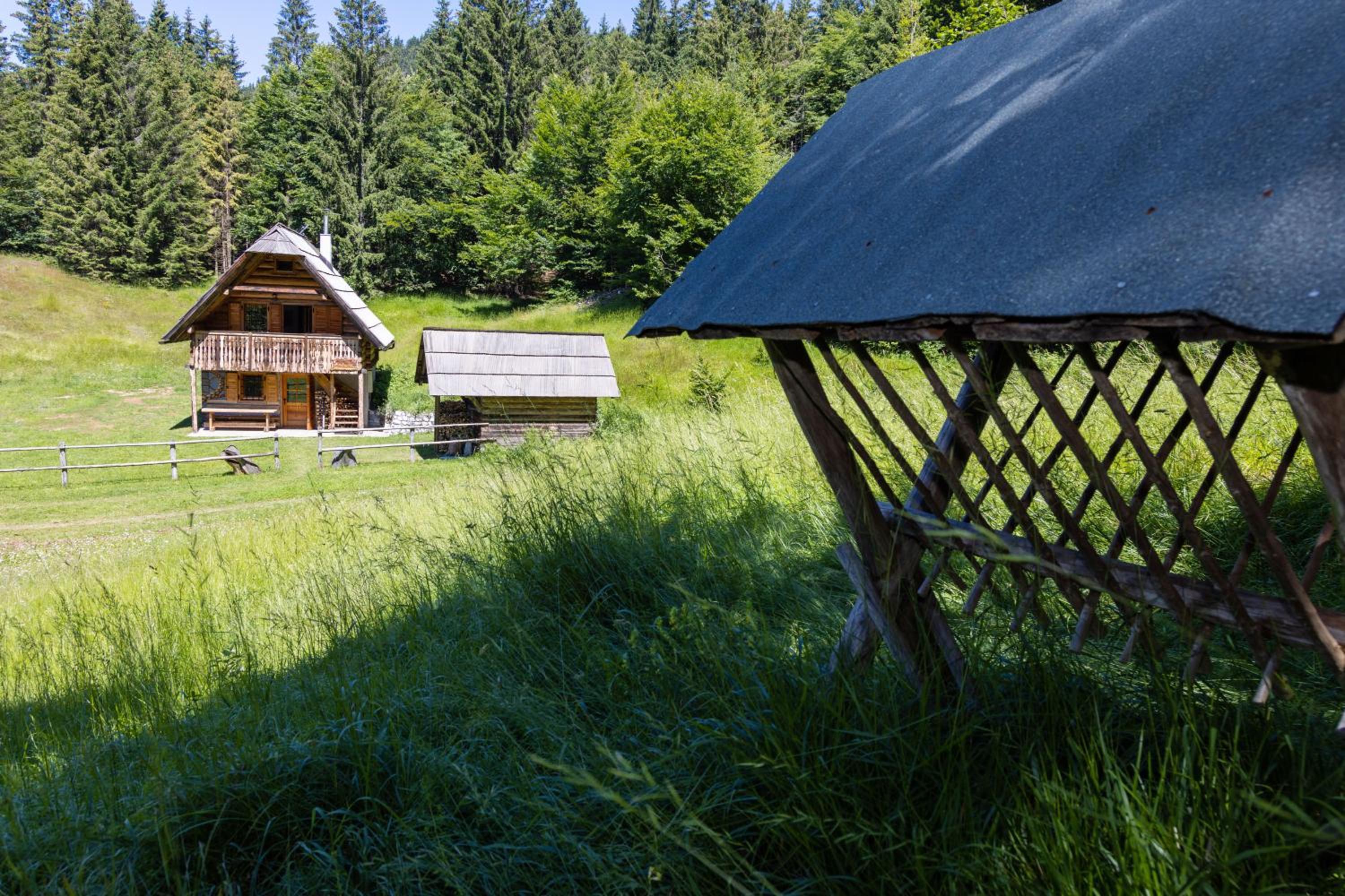 Apartment in Chalet Goldilocks