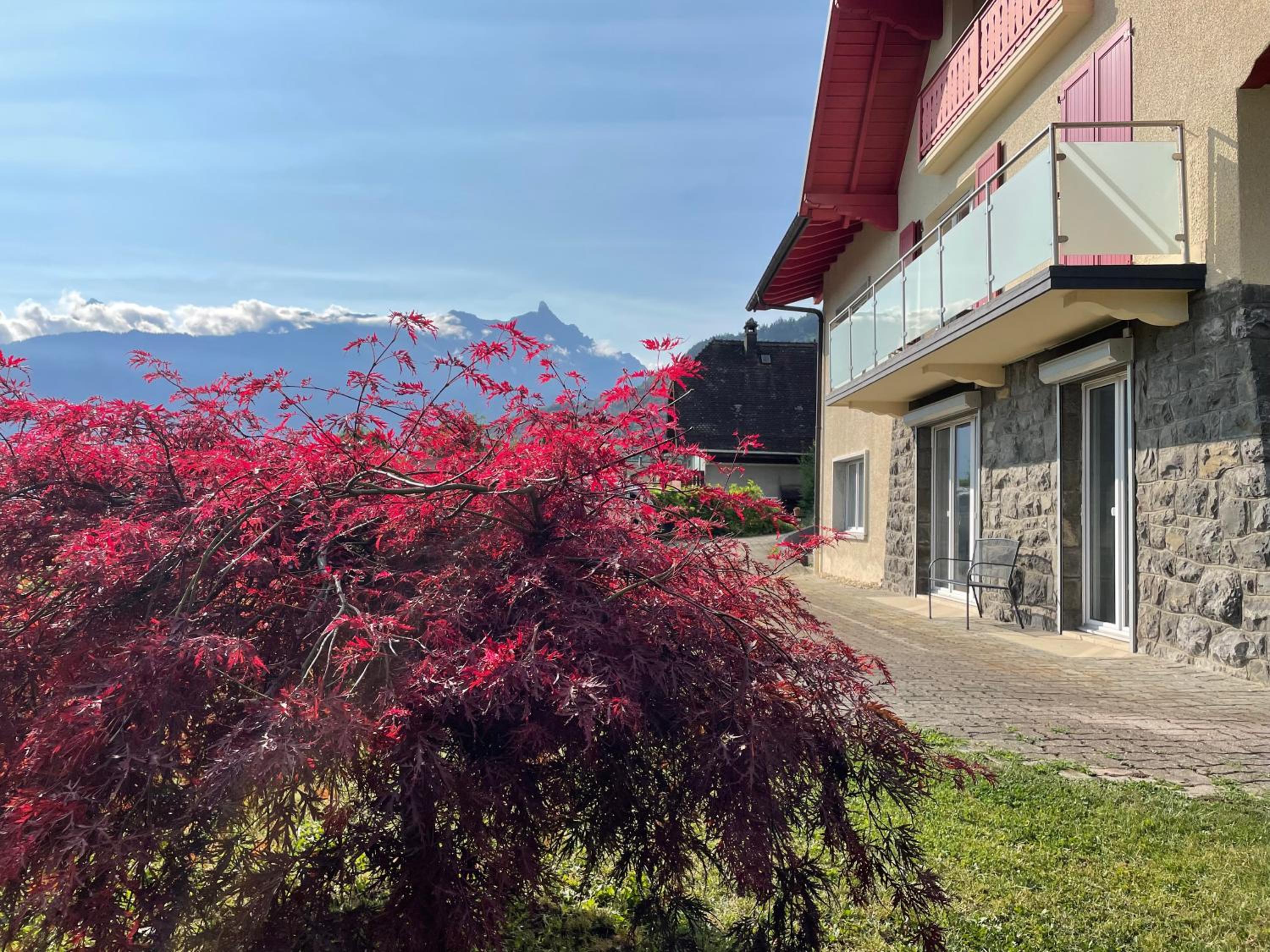 Les Dents-du-Midi view 3