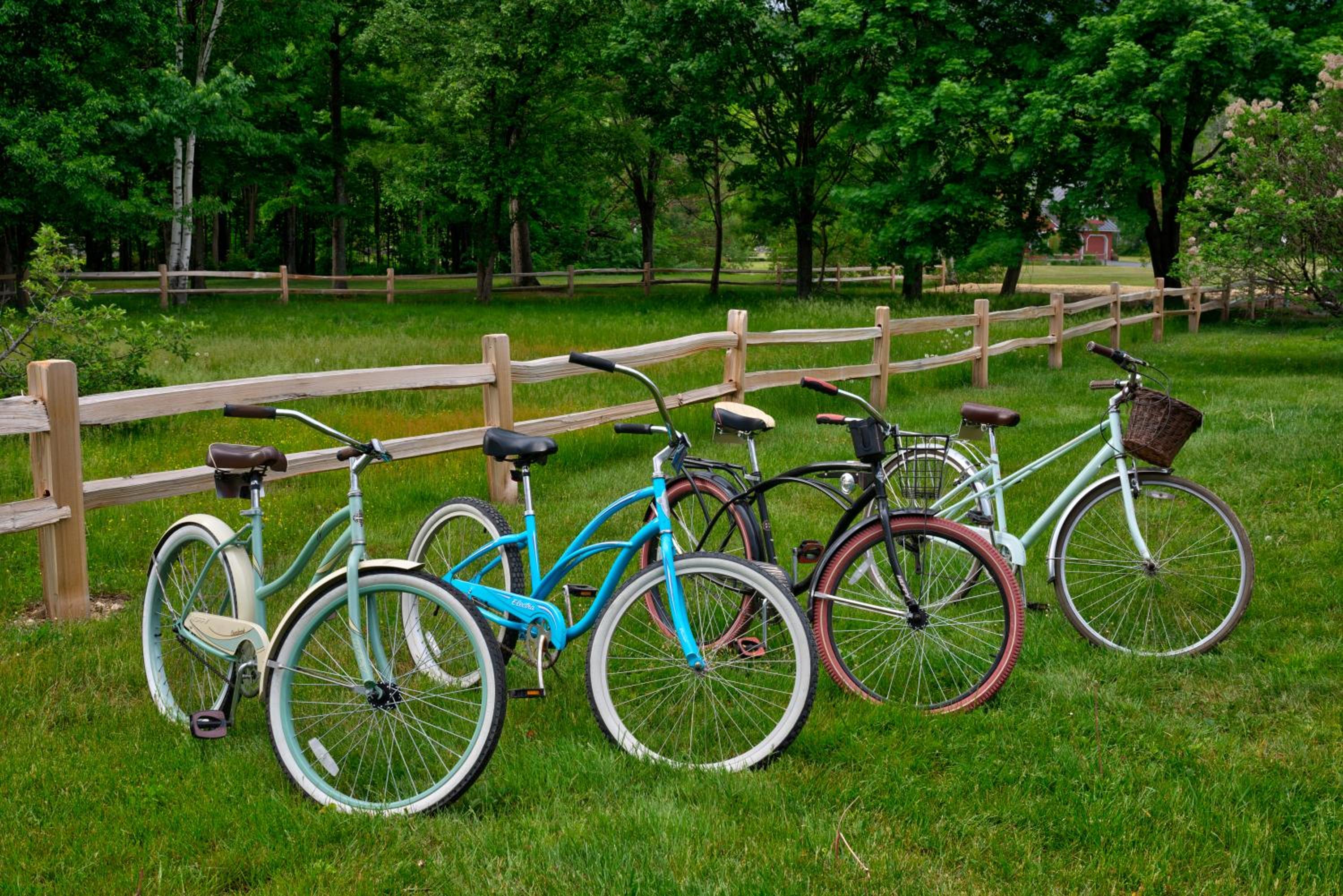 activities & amenities